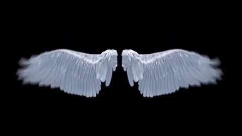 Lucifer wings