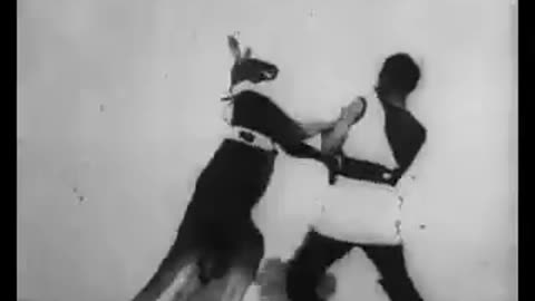 Skladanowsky Brothers: Mr. Delaware and the Boxing Kangaroo (1895)