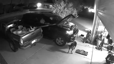 Woman Falls Off Her Car In The Driveway While Fixing It And Her Dog Runs To Check On Her