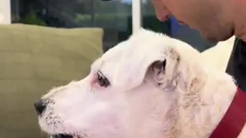 Dog Loves Trump, FREAKS OUT when seeing Joe Biden on TV