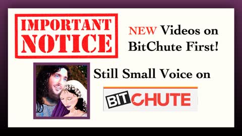 ALL New Messages on BIT CHUTE first