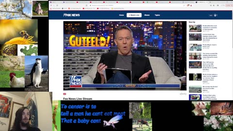 Gutfeld! 4/14/2023 Watchalong