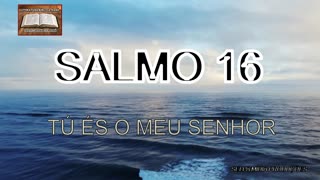 SALMOS 17