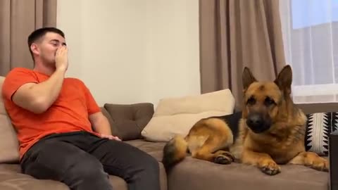 The cutest howl of a German Shepherd and his owner ever