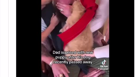 A TEARJERKER MOMENT ~DAD SURPRISED WITH A NEW PUPPY AFTER HIS DOG RECENTLY PASSED AWAY