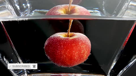 What if you left an apple in water for 200 days?