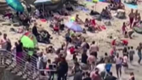 California beachgoers run from charging sea lions
