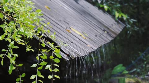 relax the rain in the morning is so heavy