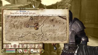 The Elder Scrolls IV: OBLIVION playing freely