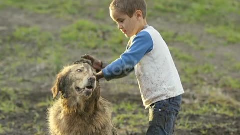 A young boy rubs handfuls of mud into his golden labrador's head after playing in a mud puddle.