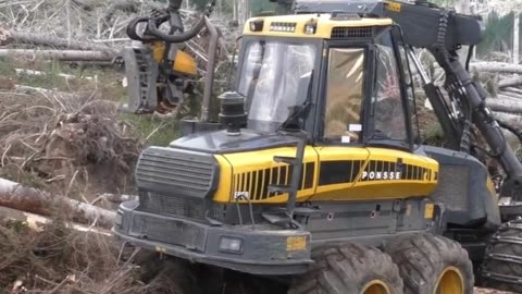 In the lumber mill, special crawlers are used to clean