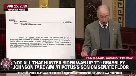 Grassley and Johnson target POTUS's son for actions beyond the radar!