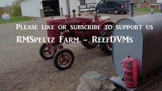 Farmall Super A Tractor and the Percherons on Sunday Outing