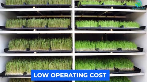 HYDROPONIC AGRICULTURE Modern Technology in Managing Green Fodder - Hydroponic System at Low Cost