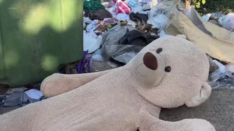 Hilarious Teddy Trash: Unveiling the Ultimate Garbage Prank Bear!