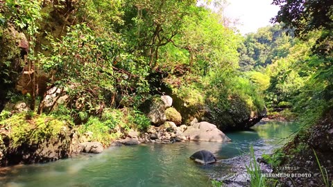 Tranquil River Flow | ASMR for Meditation and Focus