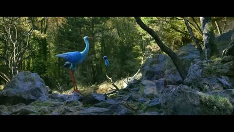 The Fox and the Bird - short film