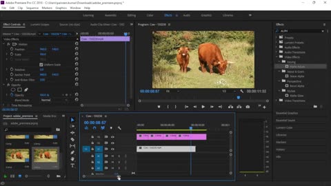 Adobe Premiere Pro – Remove static object from video