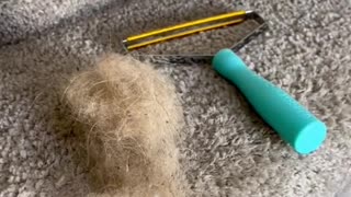 Effortless Fur-Free Living: Uproot Clean's Ultimate Lint Remover and Animal Hair Cleaning Tool