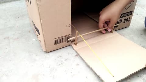 Parrot Bird Trap Make From Cardboard Box that Works 100%