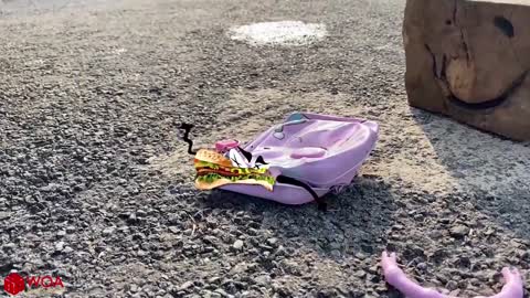 Experiment Car vs Jelly ,Toothpaste, Coca Cola Crushing Crunchy & Soft Things by Car.CrazyKids