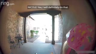 Bobcat chases kid [Luckily the neighbor saves the kid]