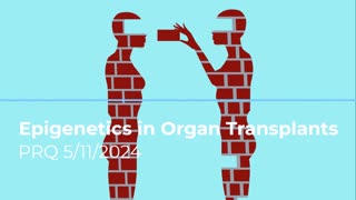 Epigenetics in Organ Transplants 5/11/2024