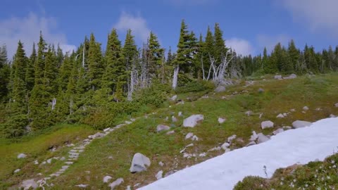 Mount Rainier National Park - Nature Relax