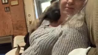 Belgian Malinois dog insist on giving owner hugs