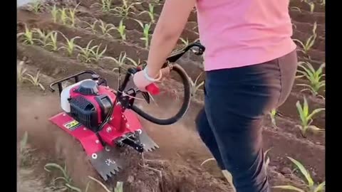 farming in field technic
