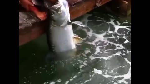 Traditional Men Getting Food