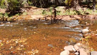 Red Rock Adventure - Cathedral Rock