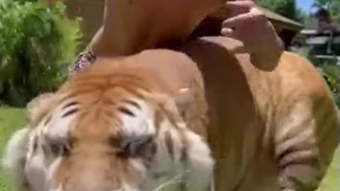 Best funny Animal video of the years 2023,funniest animal ever.relax with cute animal video