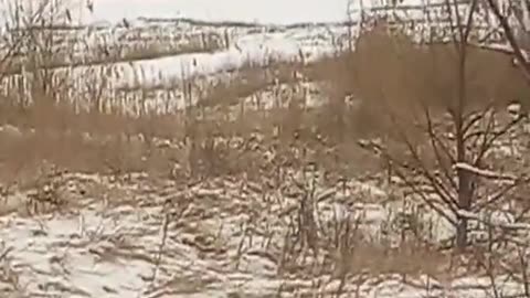 Russian Soldiers Run Across Field as Ukrainian Scout Reports On Movements