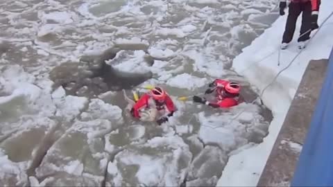 US Coast Guard rescues dog in icy waters