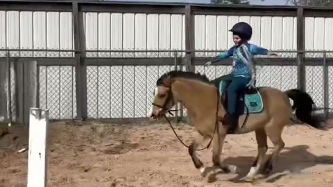 Cute and funny horse videos