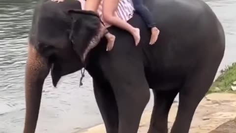 Elephant Ride is fun