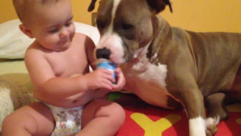 Baby helps family dog eat yogurt