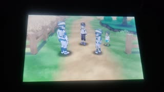 Pokemon Ultra Sun:Saving A Wayward Pokemon