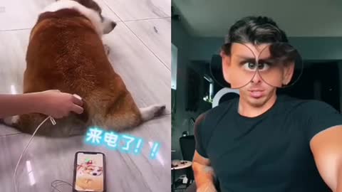 Is the dog cute#dogsound #funnydogsoftiktok 🥰🥰🥰🥰🥰#funny #foryou