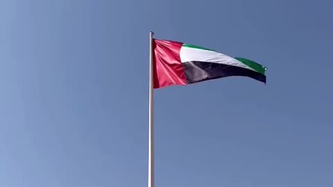 UAE Flag Day Special Video