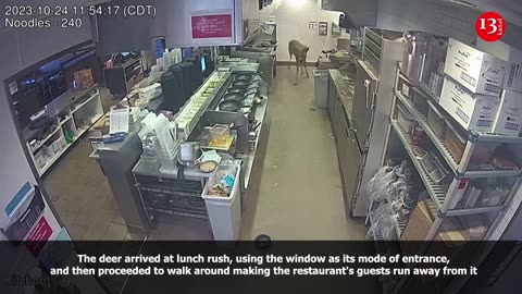 Deer surprises guests at Wisconsin restaurant during lunch rush