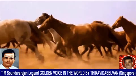 Old Is Gold (evergreen) T M Soundararajan Legend Vol 236 Horse Song 9