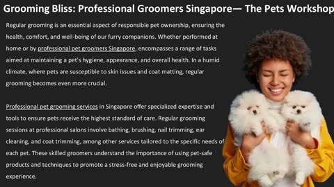 Grooming Bliss: Professional Groomers Singapore — The Pets Workshop