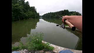 Fishing at an ABANDONED Conservation Area