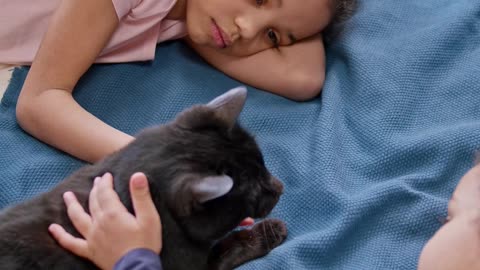 Cats and Baby Beautiful Scenes | Viral Cat