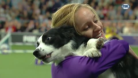 Pink the border collie wins back to back tital at the 2023