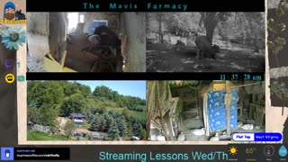 Life on Doc's Farm : Mavis Institute 🎵 🐓🦆🐝🐇🐖: Farmcore