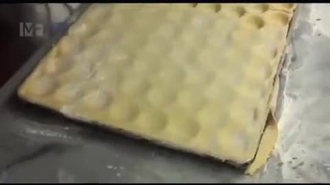 Satisfying Videos of Workers Doing Their Job Perfectly 3