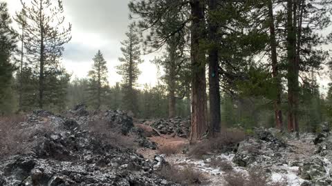 Summer Transitioning to Winter – Central Oregon – Edison Sno-Park – 4K